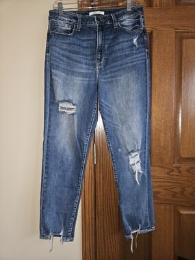 Women’s Distressed Mom Jeans in Blue Denim From The Buckle, Brand Willow + Root